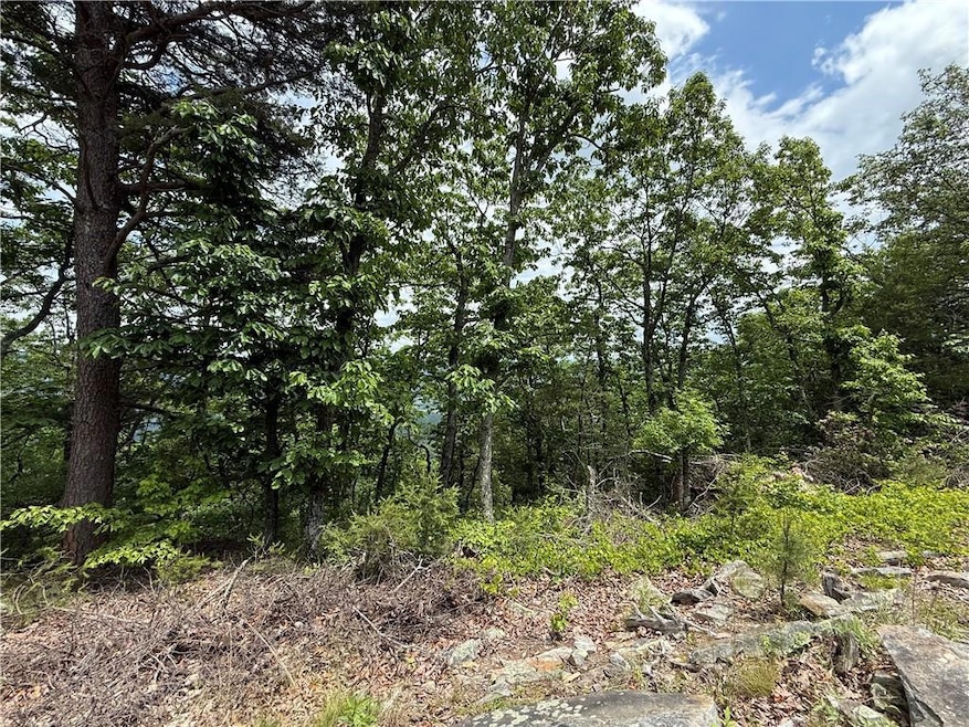 View of wooded area