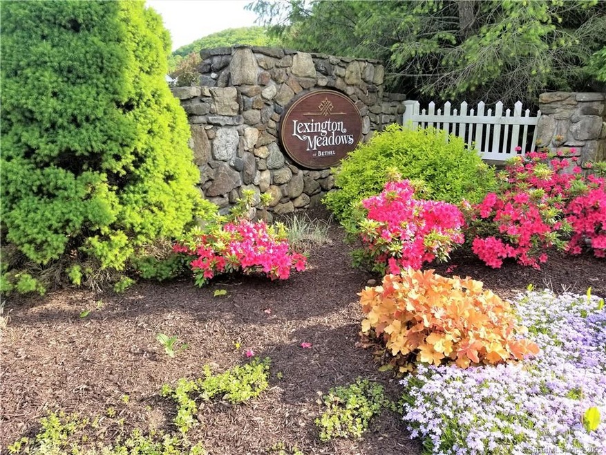 906 Lexington Blvd unit 906, Bethel, CT 06801 - photo 1