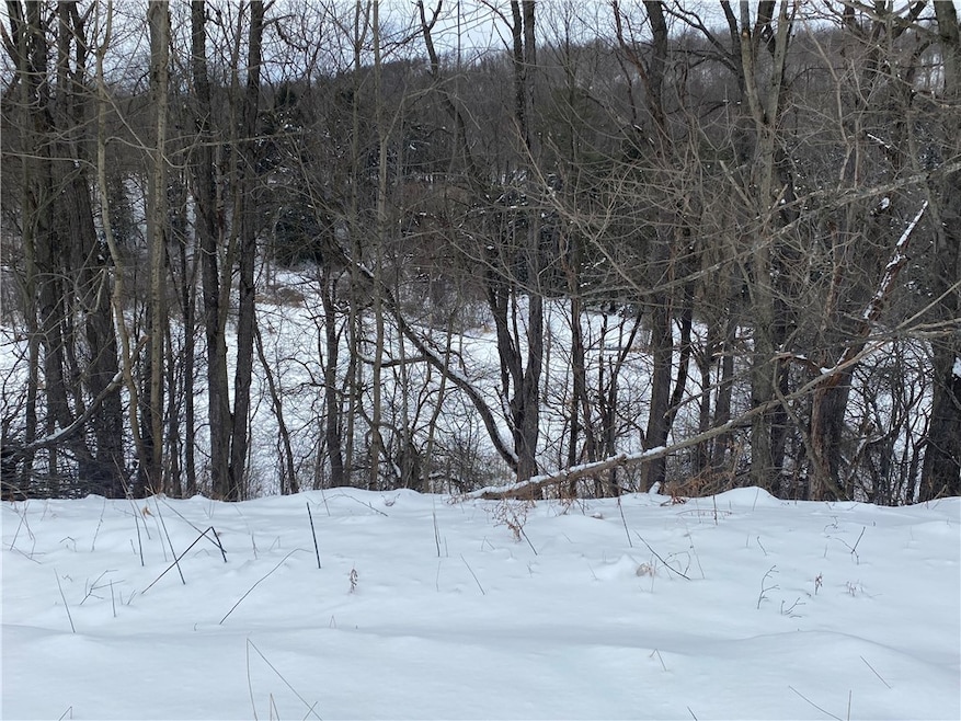 8470 Tabors Corner Rd, Springwater, NY 14572 - photo 1