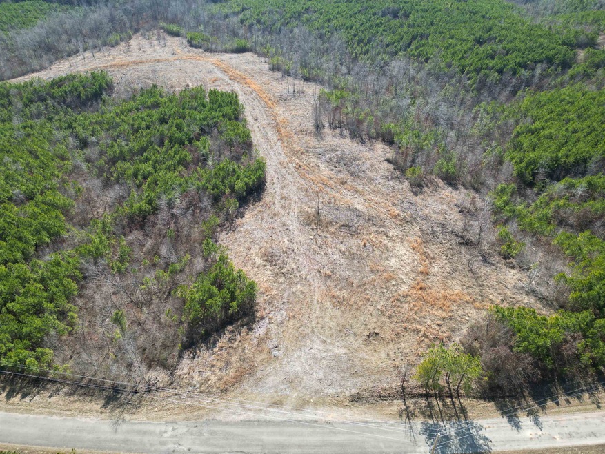 7986 Old Hohenwald Rd Unit Lot 188