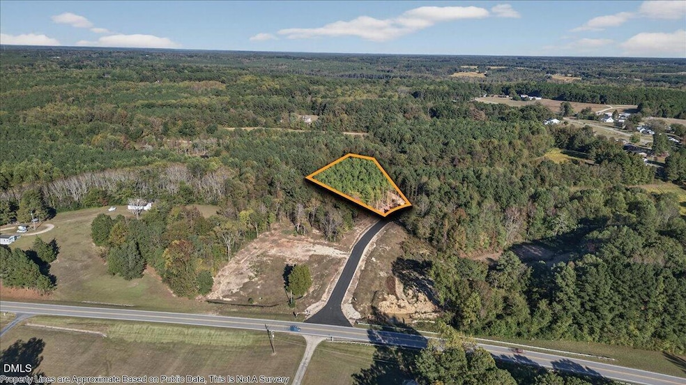 01-013_DJI_20251017162241_0685_DPl