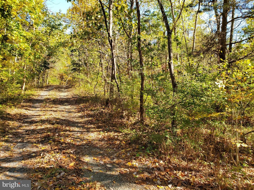 0 Red Hawk Woods Way unit VAWR140540, Middletown, VA 22645 - photo 1