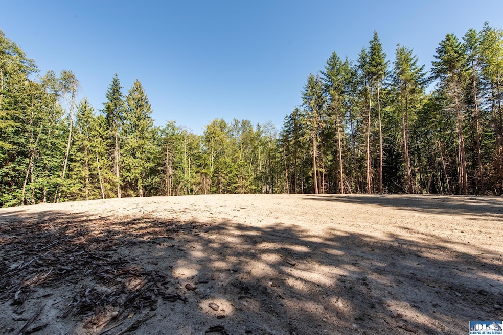 Lot 1 Sunny Dell Ln, Sequim, WA 98382 - photo 1