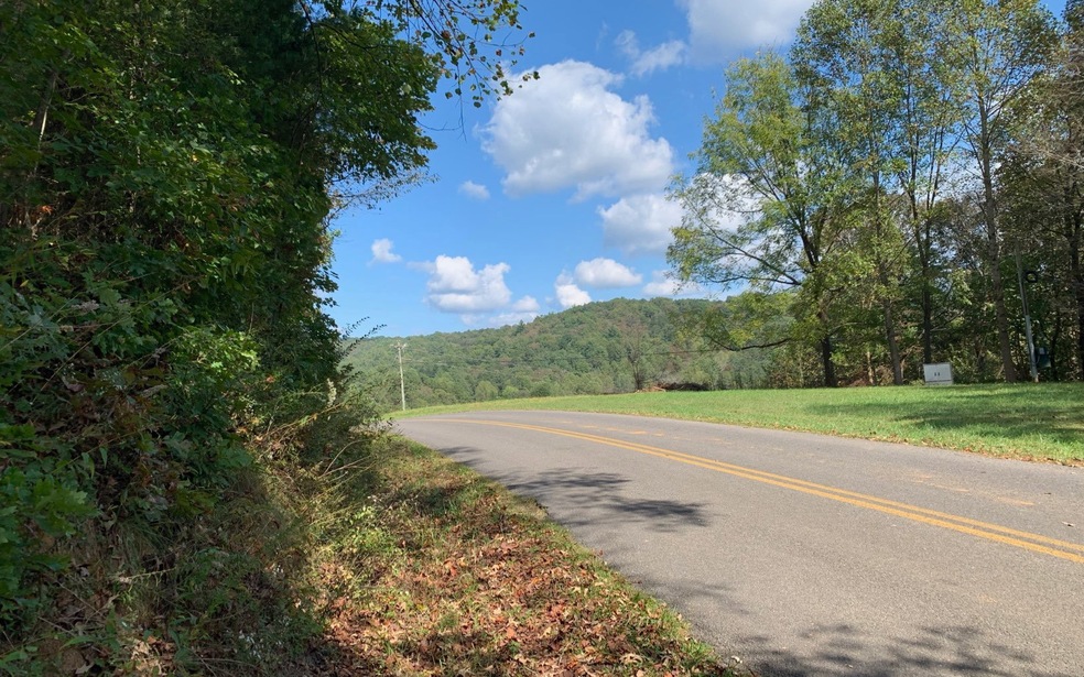 0 Flat Branch Rd unit 311525, Ellijay, GA 30540 - photo 1