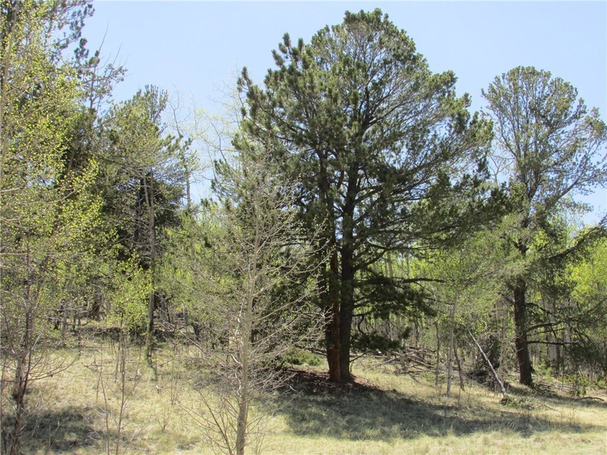 33 Crater Lake Way, Hartsel, CO 80449 - photo 1