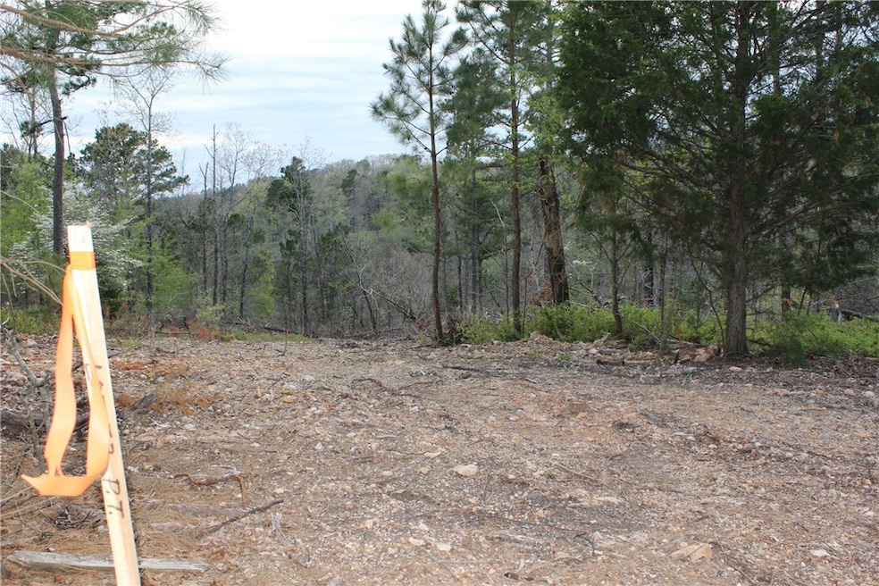 Surveyed and perc test complete