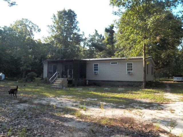 Main View
