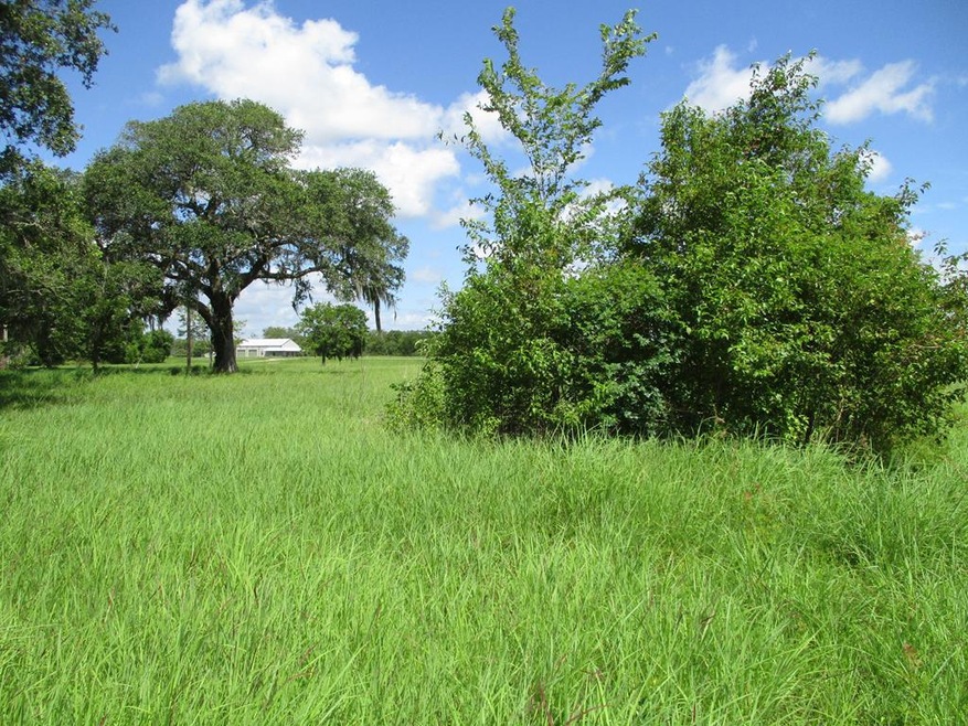 000 Fm 521 Rd, Brazoria, TX 77422 - photo 1