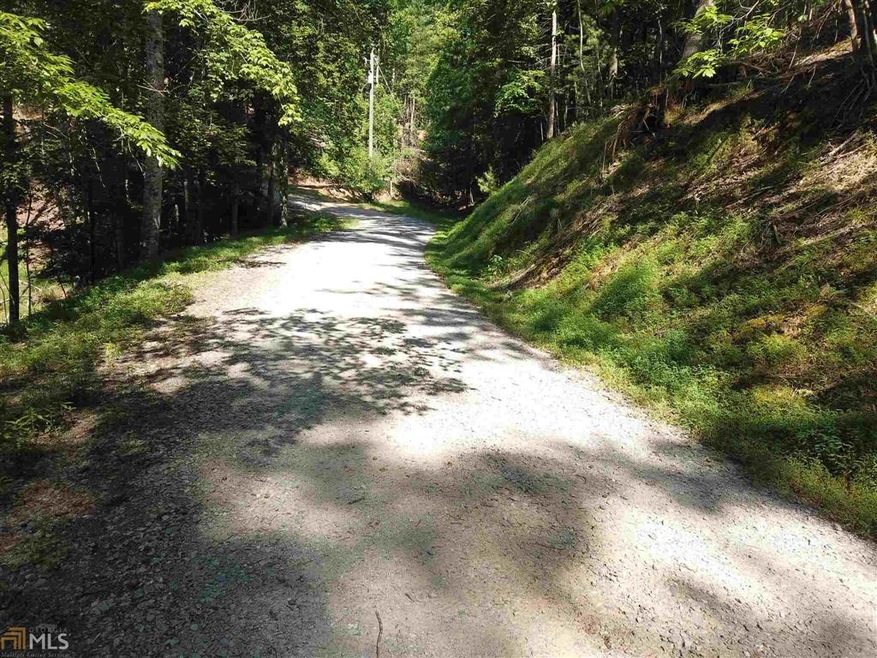 0 Parnell Dr unit 8824700, Ellijay, GA 30540 - photo 1