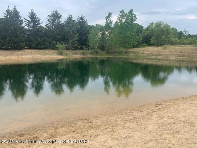 2875 Trillium Creek Way, Saint Johns, MI 48879 - photo 1