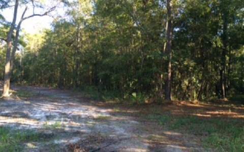 0 Rogers Rd unit 88999, Lake City, FL 32025 - photo 1