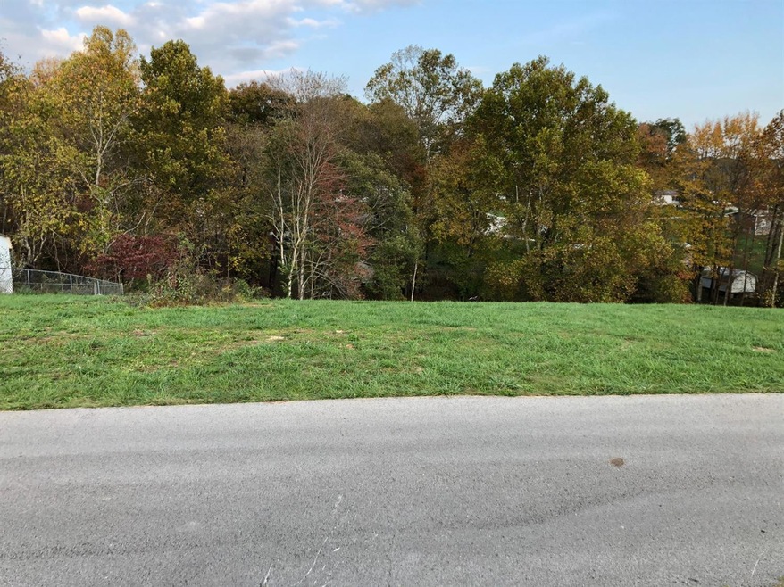 0 Medlock Ln, Annville, KY 40402 - photo 1