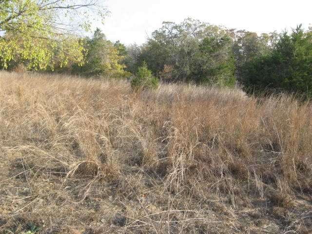 Land : Clearing for building site