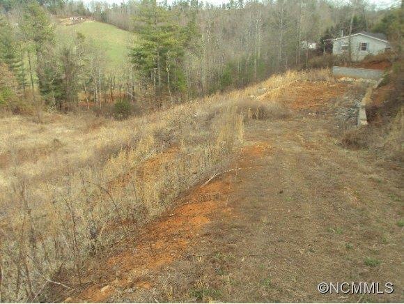 15 Trent Dr, Leicester, NC 28748 - photo 1