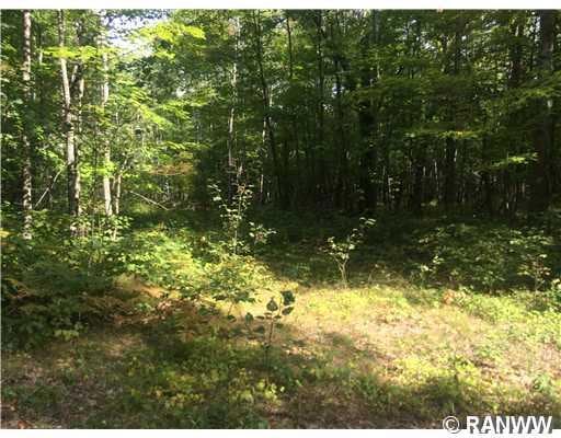 6 Black Duck Ln, Webster, WI 54893 - photo 1