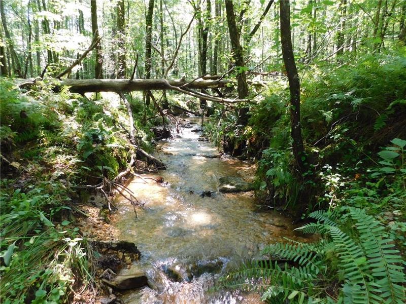 lot #3 Highway 52, Dahlonega, GA 30533 - photo 1