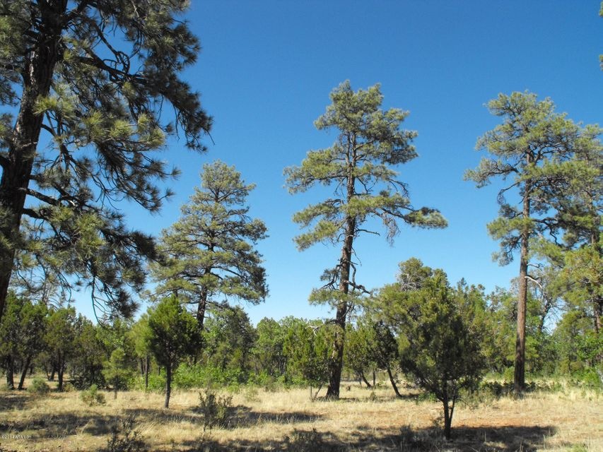 Lot 197 Tamarron 1