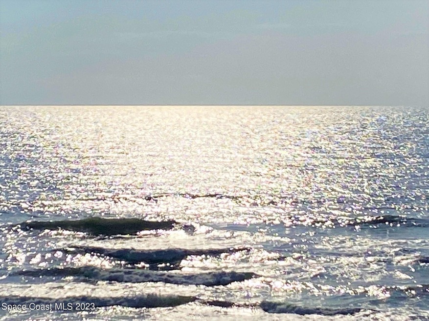 MORNING OCEAN VIEW