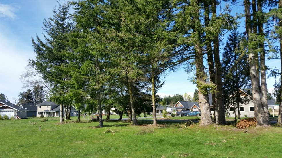 4591 Hall Rd, Blaine, WA 98230 - photo 1