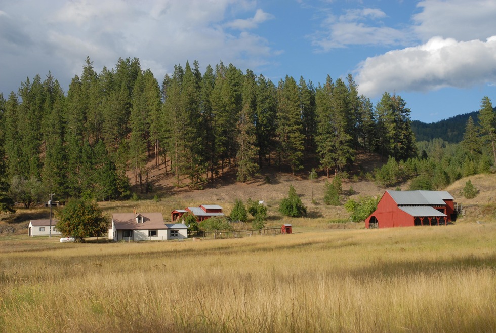 2471 Eagle Lambert Rd, Chewelah, WA 99109 - photo 1