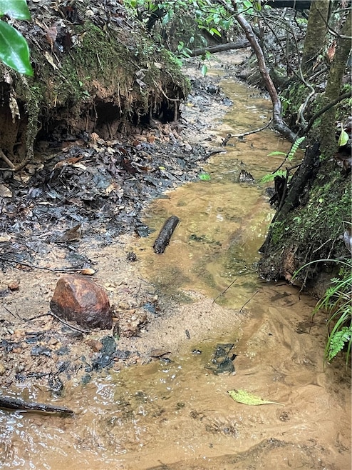 00 N Little River Rd, Salem, SC 29676 - photo 1