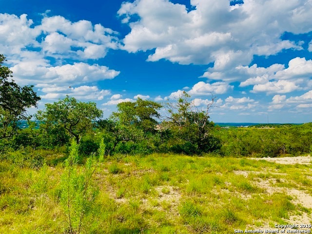 22926 Homestead Mesa, San Antonio, TX 78255 - photo 1