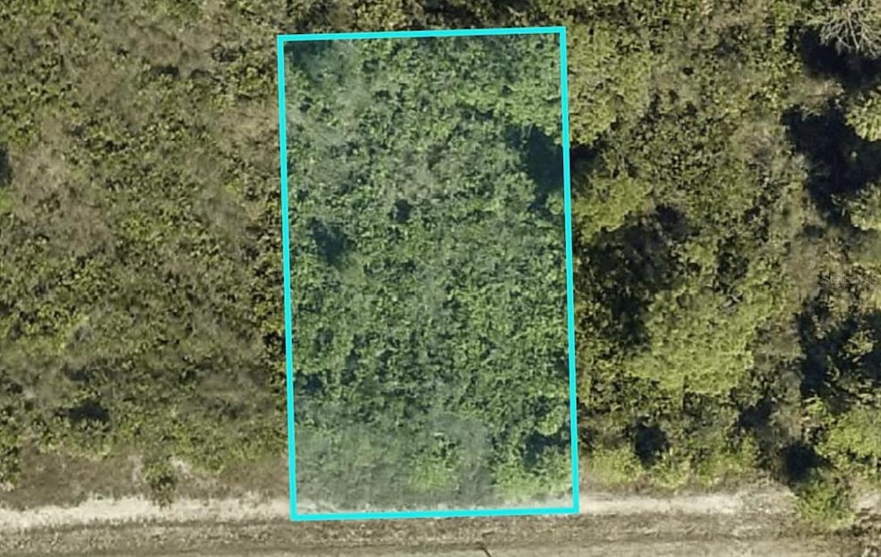 3102 65th St W, Lehigh Acres, FL 33971 - photo 1