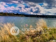 20 Monohon Landing Rd, Raymond, WA 98577 - photo 1