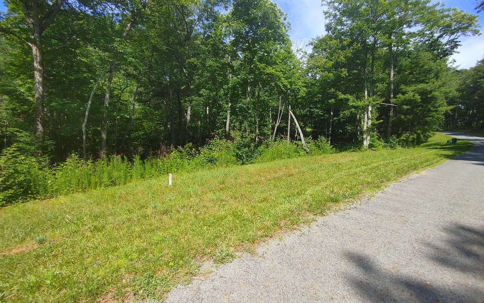 0 Hilton Dr unit 325899, Ellijay, GA 30540 - photo 1