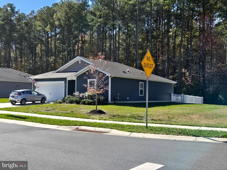 31808 Geyser Ct, Lewes, DE 19958 - photo 1