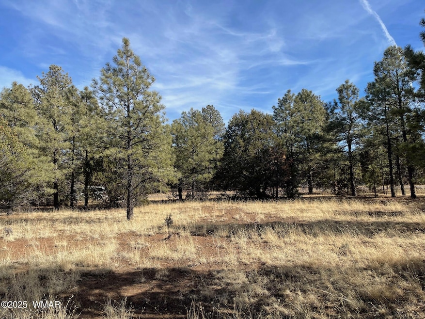 Sold $47,500 • Co-Listing Agent