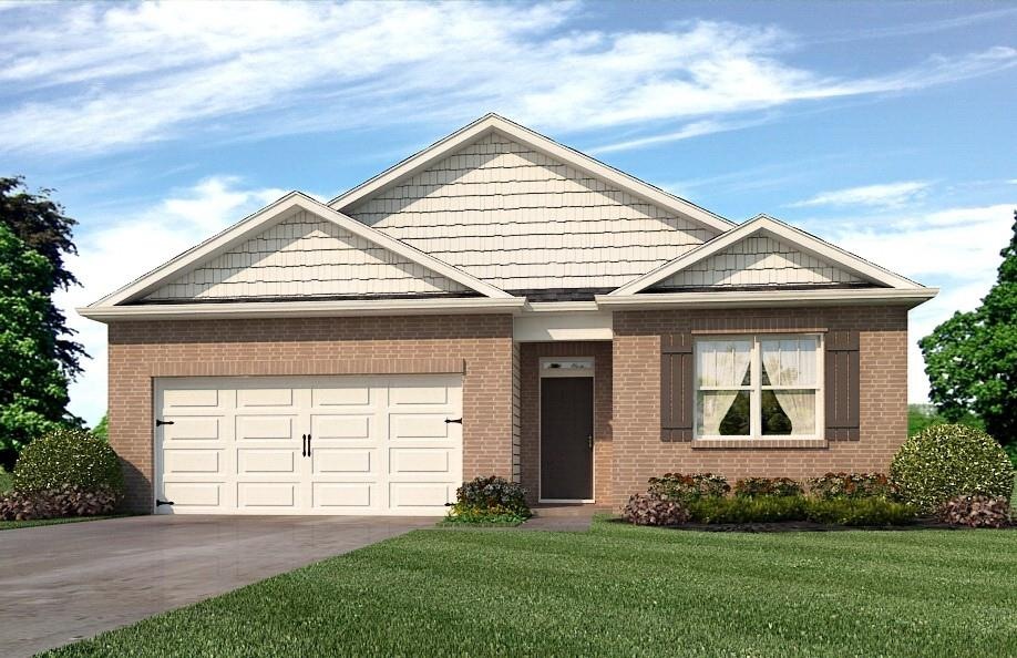 Color Rendering of Plan & Elevation