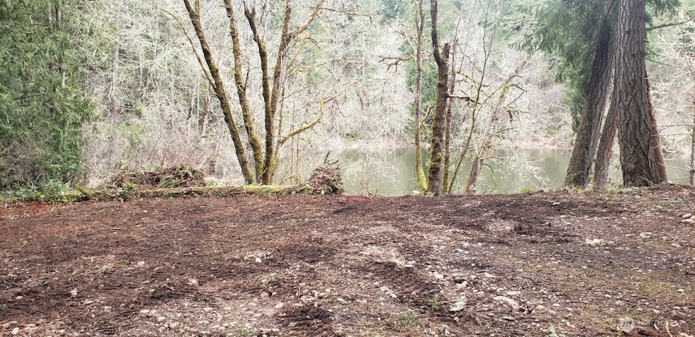 17820 Pondside Ct SE, Yelm, WA 98597 - photo 1