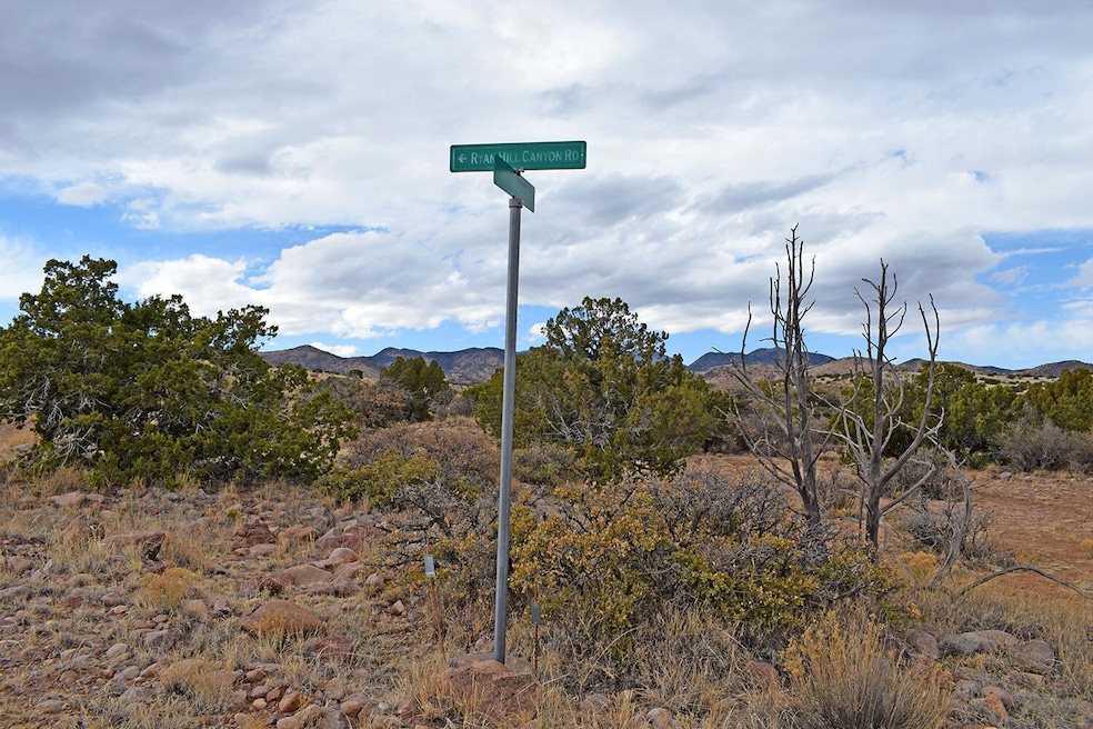 Lot 1A Willow Springs Ranch, San Antonio, NM 87832 - photo 1
