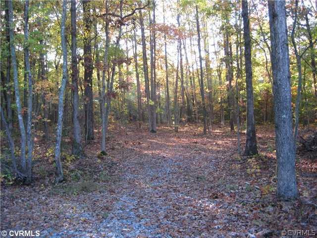 0 Gary Rd unit 1305640, Lunenburg, VA 23944 - photo 1