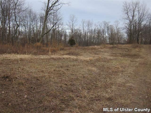 TBD Langridge Rd, Clermont, NY 12583 - photo 1