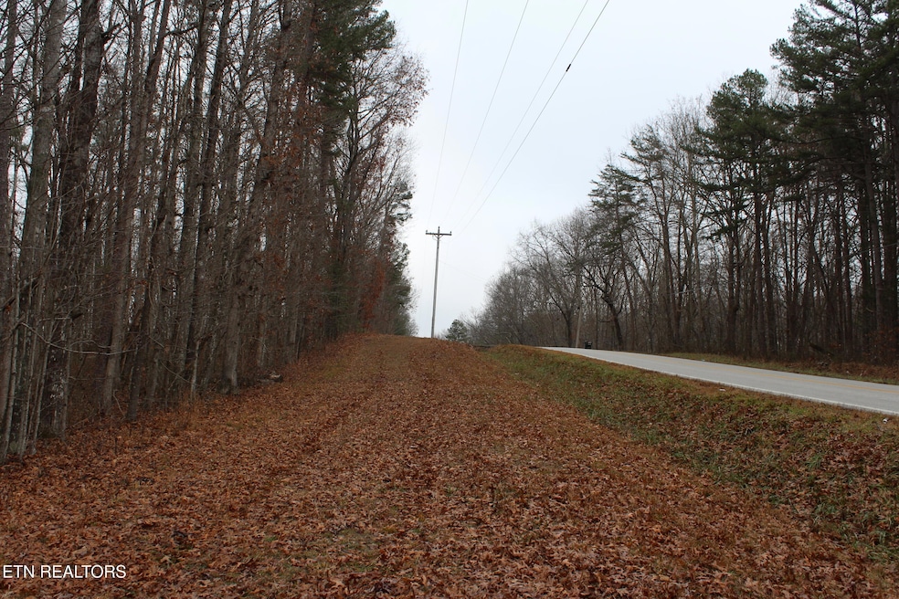 3411 Pickett Park Hwy, Jamestown, TN 38556 - photo 1