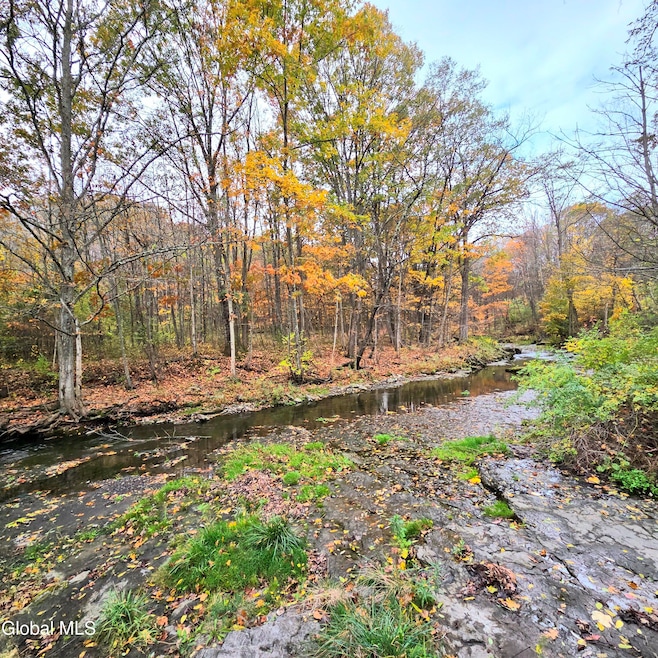 L53 Tarrytown Rd, Clarksville, NY 12041 - photo 1