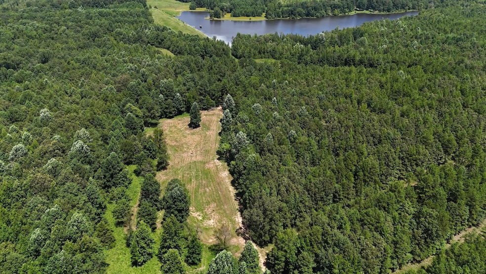 1476 Major Hill Rd, Bethel Springs, TN 38315 - photo 1