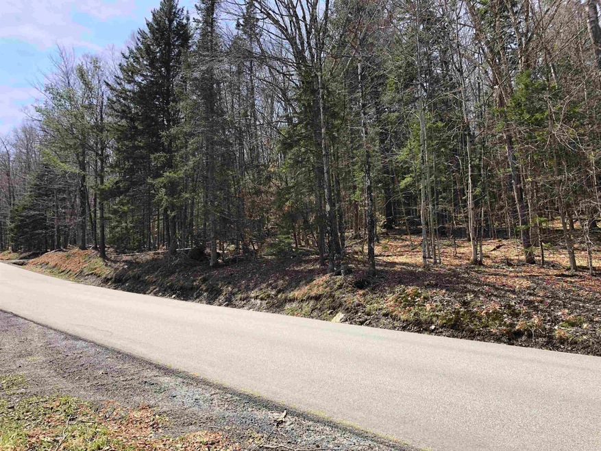 5 Branch Hill Rd unit 5, Readsboro, VT 05350 - photo 1