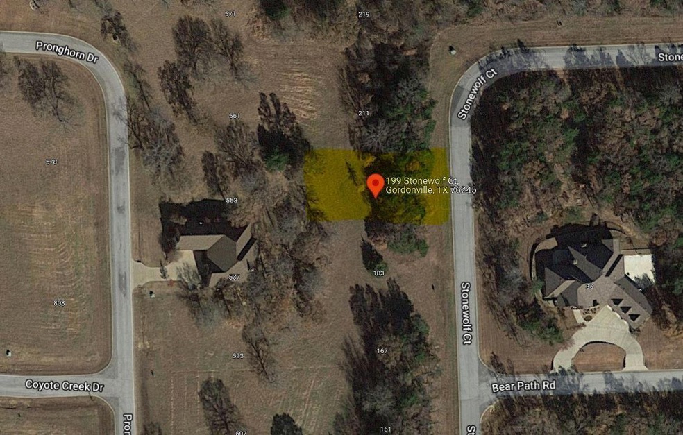199 Stonewolf Ct, Gordonville, TX 76245 - photo 1