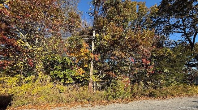 48 Newton Blvd, Ronkonkoma, NY 11779 - photo 1