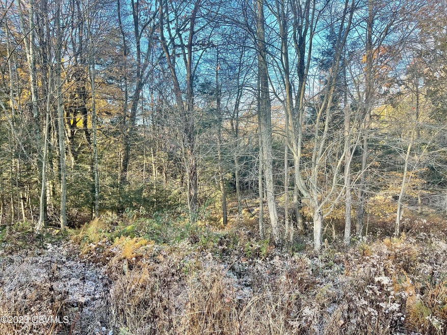 0 Shingle Run Rd, Pine Township, PA 17846 - photo 1