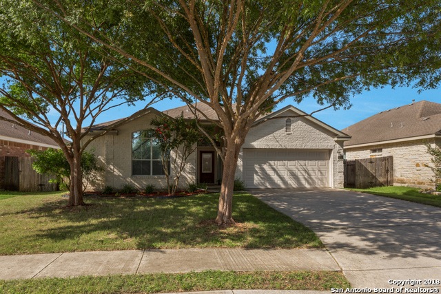 8238 Piney Wood Run, San Antonio, TX 78255 - photo 1