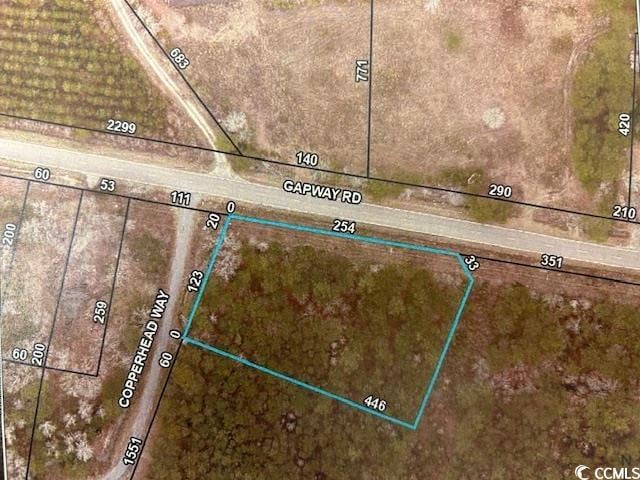 12155 Gapway Rd, Andrews, SC 29510 - photo 1