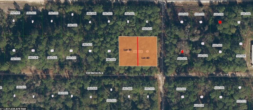 336 Gardenia Ave, Georgetown Cove, FL 32139 - photo 1