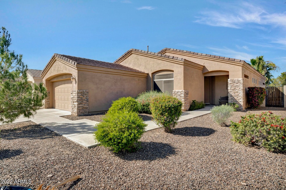 Desert Front Yard