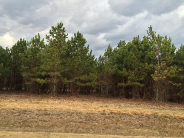 Tract 4 Flemington Farm, Brunswick, GA 31525 - photo 1