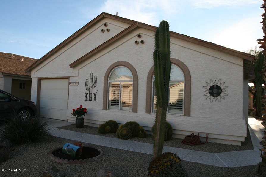 Front View