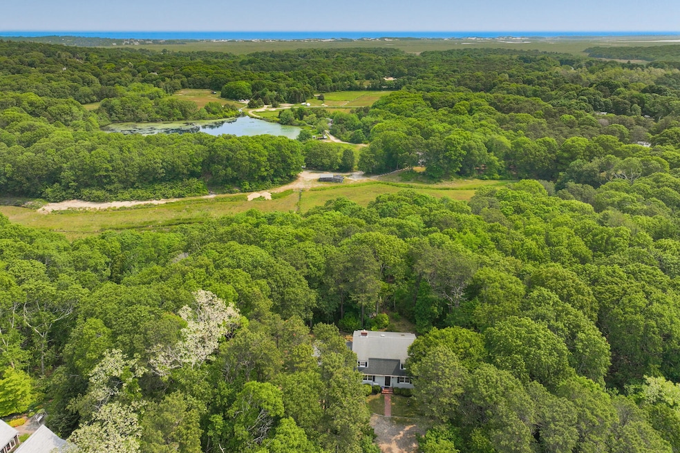 Looking north to Cape Cod Bay